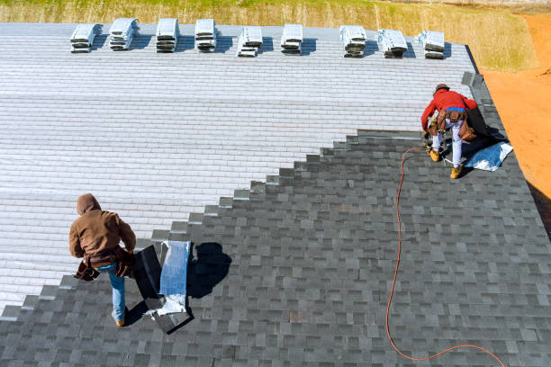 Best Roof Maintenance Services  in Chippewa Falls, WI